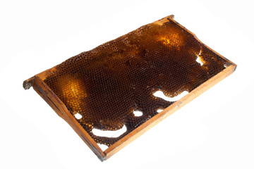 honeycomb isolated on white background