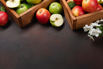 Ripe red and green apples in wooden box with branch of white flowers on a rusty background
