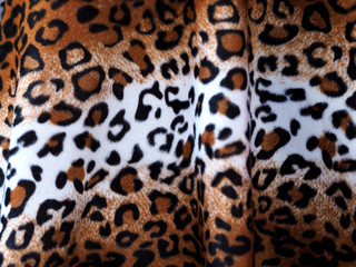 Closeup Leopard leather fabric background.