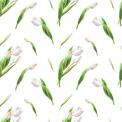 Seamless pattern from beautiful white tulips. Floral collection. Marker drawing. Watercolor painting. Floral composition of design elements. Greeting card. Painted background. Hand drawn illustration.