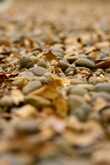 rock