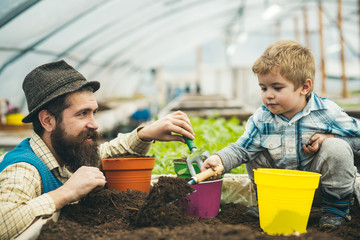 agricultural activity. agricultural activity of father and son in greenhouse. agricultural activity and environmental ecology concept. agricultural activity of happy family. sharing good time.