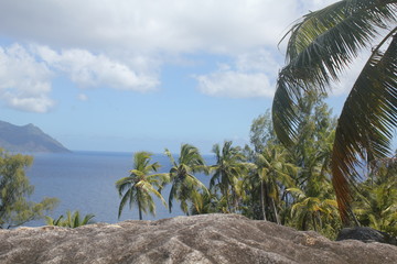 private island tropical beach