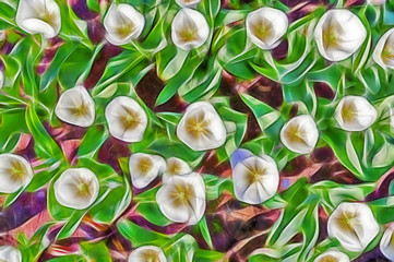 beautiful abstract fractal Flower tulips