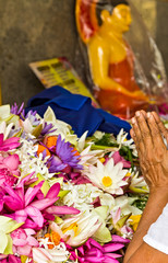 Fototapeta premium Visakha Bucha Day. Buddha's birthday lotus flower meditation relax concept Vesak day.