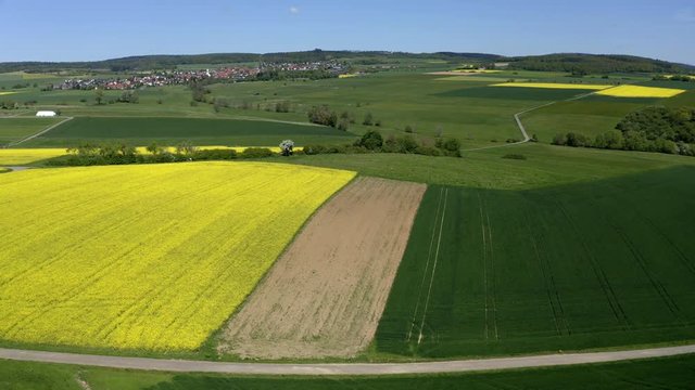 Aerial view, flight over agriculture with cereal fields and rapeseed cultivation, Usingen, Schwalbach, Hochtaunuskreis, Hesse, Germany