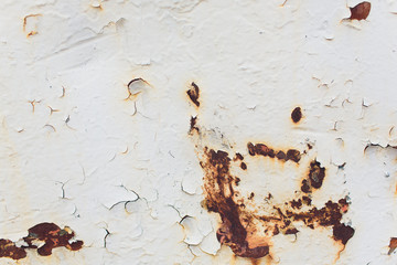 Old rusty white metal. The rust on metal background. Grunge wall background.