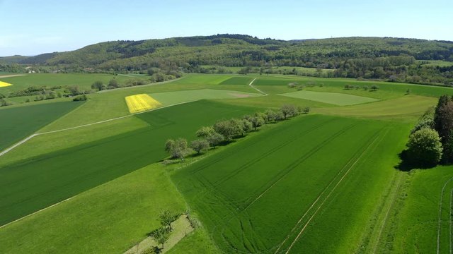 Aerial view, flight over agriculture with cereal fields and rapeseed cultivation, Usingen, Schwalbach, Hochtaunuskreis, Hesse, Germany