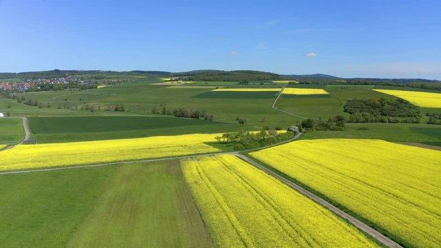 Aerial view, flight over agriculture with cereal fields and rapeseed cultivation, Usingen, Schwalbach, Hochtaunuskreis, Hesse, Germany