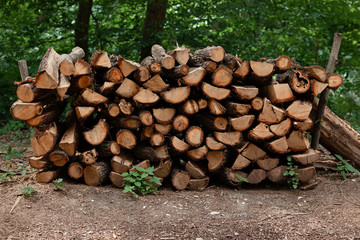 Pile of firewood, logs stacked in the forest