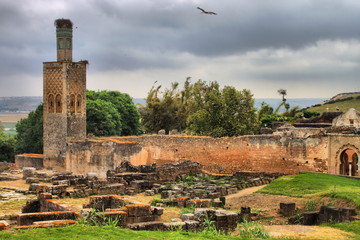 Ancient ruins in Necropolis of Cellah in Rabat, Morocco