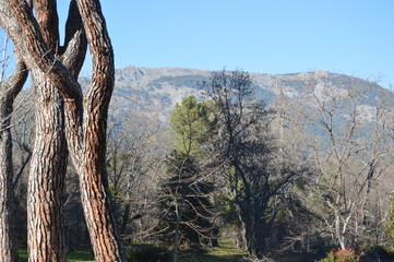 Nature in El Escorial, Spain