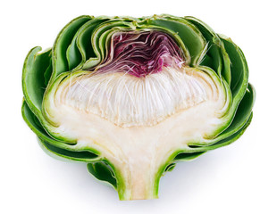 Fresh artichoke on white background