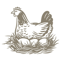 Chicken farm with eggs. Hen and eggs