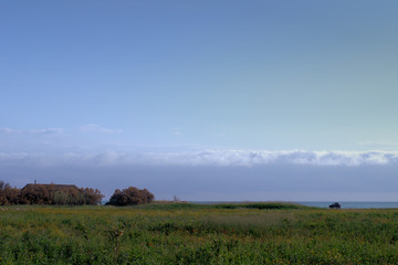 field and blue sky,car,horizon,spring,countryside,sea,panorama, 