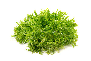 チコリフリーゼ