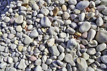 White pebbles
