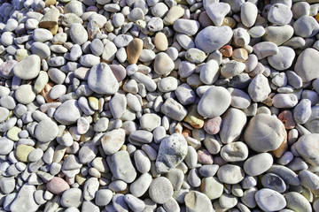 Colors sea pebbles background