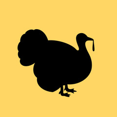 Turkey vector icon