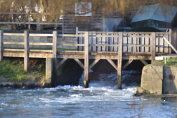 close up of weir