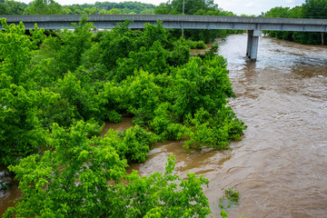 Shoal Creek Flooding-May 23, 2019
