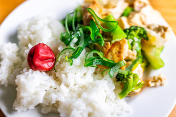 Traditional japanese plate vegetable dish with umeboshi pickled plum and tofu with green onion negi and white rice