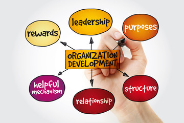 Organization development mind map with marker, business concept background