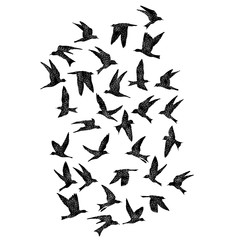 Isolated textured stipple silhouette of birds flock in the air Inspirational body flash tattoo ink. Vector.