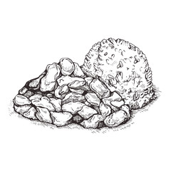 Illustration Rice with chicken.Traditional Indian cuisine, chicken curry with  and boiled rice.Sketch.Tso's chicken with rice.Fried chicken pieces in batter with sweet and sour sauce.