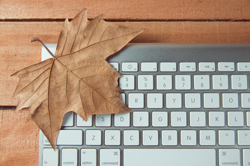 HOJA DE OTOÑO SOBRE TECLADO BLANCO