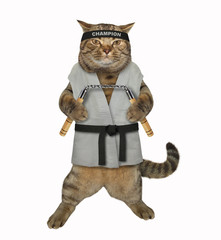 The cat karate fighter in a kimono with a black belt and headband is making exercise with nunchuck. White background. Isolated. © iridi66