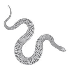 Snake drawing illustration. Black serpent isolated on a white background tattoo design. Venomous reptile, drawn witchcraft, voodoo magic attribute for Halloween.  Vector.