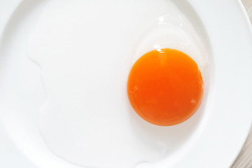 raw egg yolk