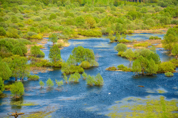 Horizontal landscape: the river flooded the valley. River and the field on a sunny summer day. Voroninsky National Park, Tambov Oblast, Russia.