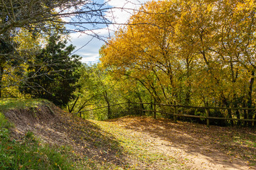 View of the path of the Monastery of Casserres