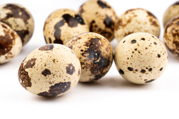 quail eggs an white background