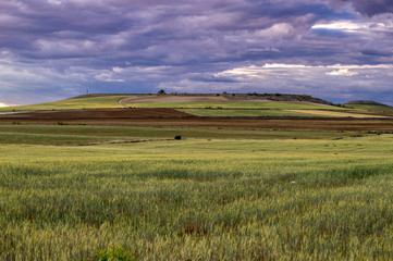 Landscape with a green meadow and the background sky with clouds, at sunset in Rielves, province of Toledo. Castilla la Mancha. Spain
