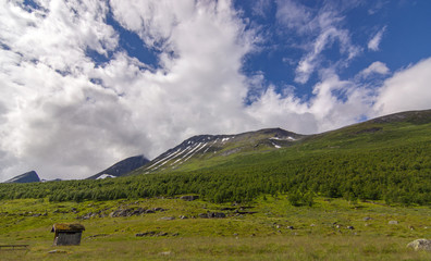 Sommerweide einer Alm