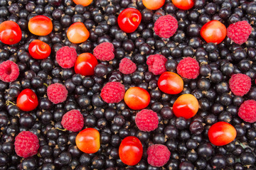 Currant black, Cherry, raspberries. Berries background. Fresh organic currant from village garden. Currant organic berries. Ecological berries for desserts, smoothie or jam. Top view