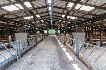 Inside a clean, empty cattle shed