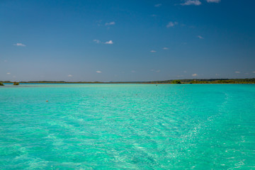 Fototapeta premium Laguna de Bacalar aka as the Lagoon of Seven Colors, Mexico. The crystal clear waters and white sandy bottom of the lake cause the water color to morph into varying shades of turquoise and blue.