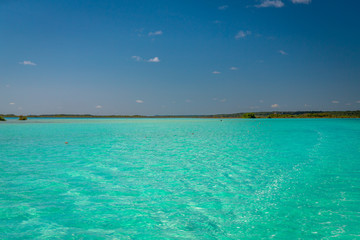 Fototapeta na wymiar Laguna de Bacalar aka as the Lagoon of Seven Colors, Mexico. The crystal clear waters and white sandy bottom of the lake cause the water color to morph into varying shades of turquoise and blue.