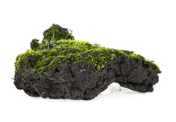 Green moss with grass on pile of soil, white background.