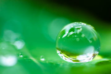 Drop of dew on a green leaf. Macro shot.