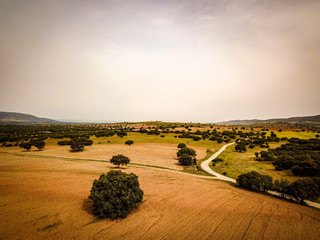 Paisaje campo a vista de drone en la mancha (Spain)