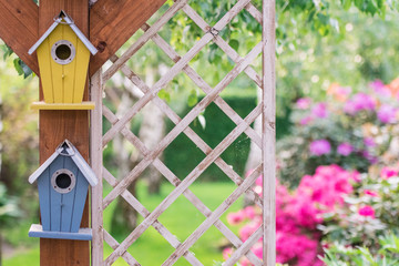 Spring in the garden