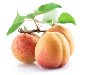 Three ripe apricots isolated on the white background.