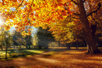 Autumn Landscape. Beautiful romantic alley in a park with colorful trees, Scenic image of...