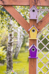 wooden birdhouse on a tree