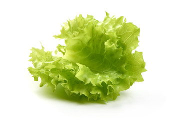 Lettuce leaves, close-up, isolated on white background